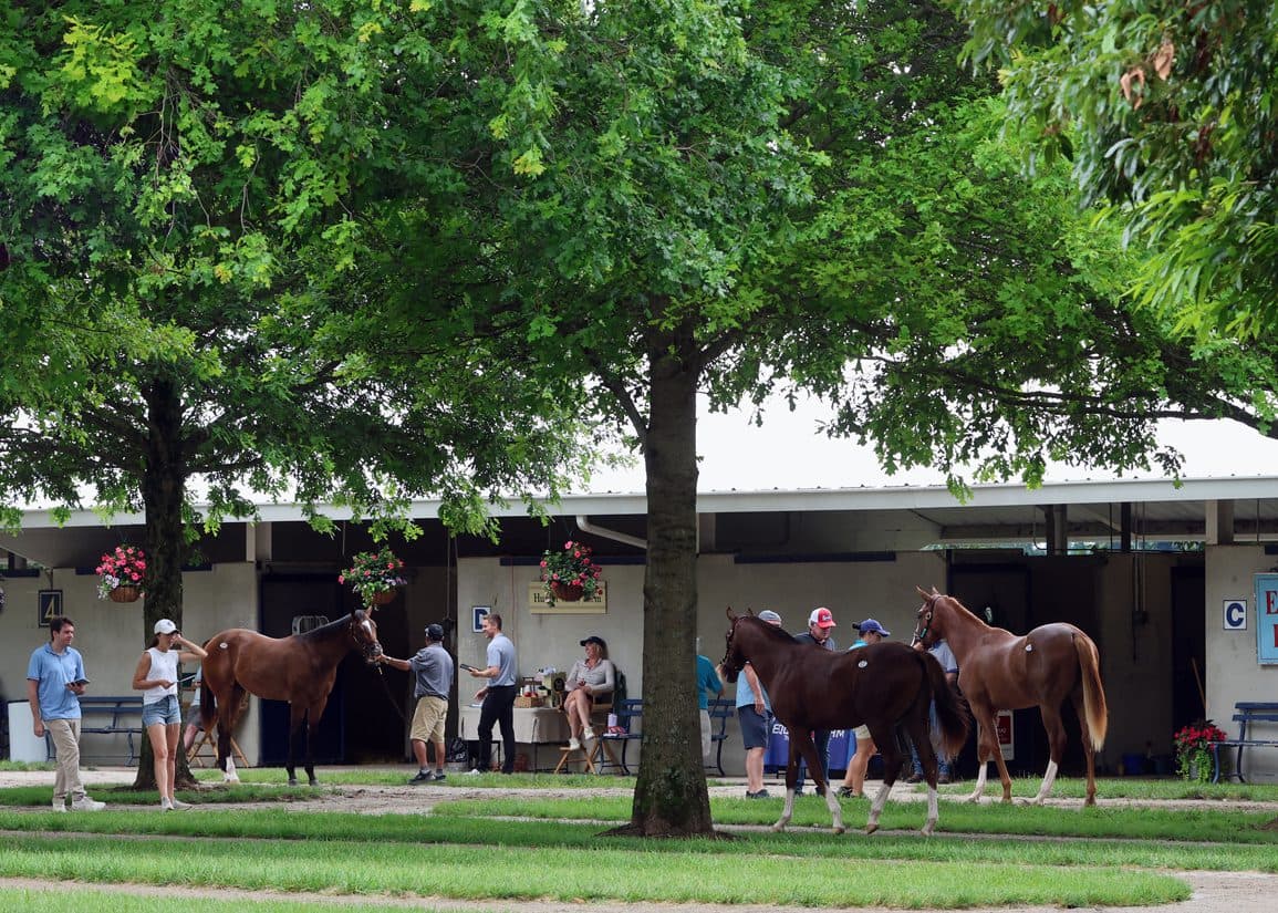 Fasig-Tipton July yearling sale opens upbeat market with first-crop sires