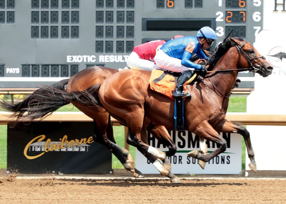 Talleyrand debuts at Ellis Park with star-studded pedigree behind him