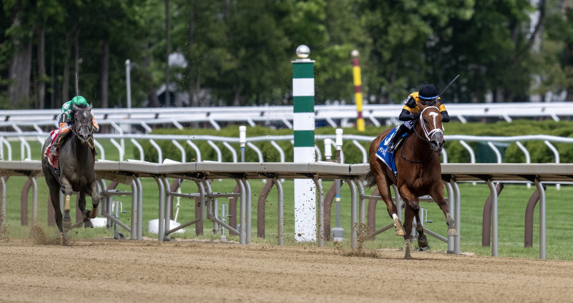 Careless Whisper powers to 10 1/2-length Saratoga maiden win
